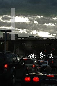 税务法规科电话 税务法规科电话