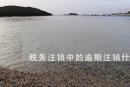 税务注销中的逾期注销什么意思 税务注销中的逾期注销什么意思