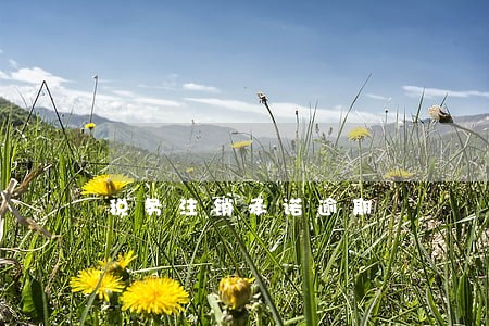 税务注销承诺逾期