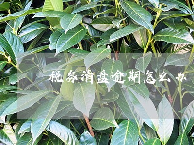税务清盘逾期怎么办 税务清盘逾期怎么办