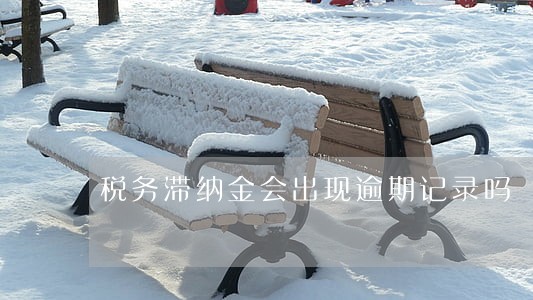 税务滞纳金会出现逾期记录吗 税务滞纳金会出现逾期记录吗