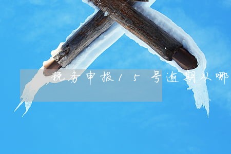 税务申报15号逾期从哪天算 税务申报15号逾期从哪天算