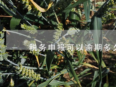 税务申报可以逾期多久 税务申报可以逾期多久
