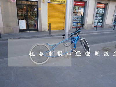 税务申报已经逾期该怎么办 税务申报已经逾期该怎么办