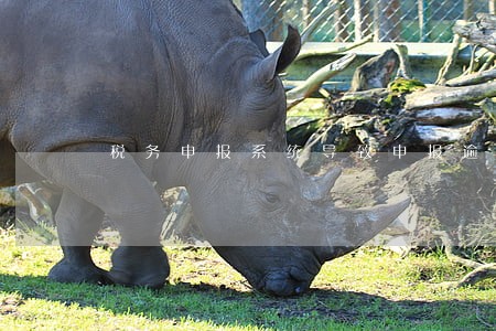 税务申报系统导致申报逾期 税务申报系统导致申报逾期