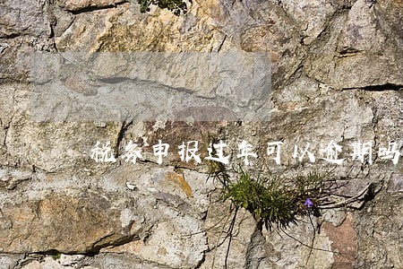 税务申报过年可以逾期吗