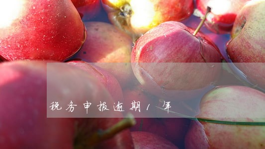 税务申报逾期1年 税务申报逾期1年