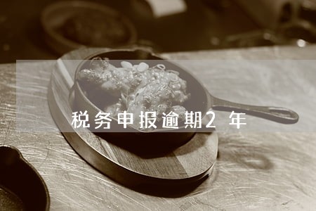 税务申报逾期2年