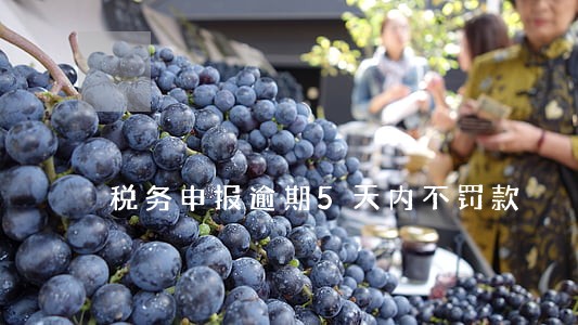 税务申报逾期5天内不罚款 税务申报逾期5天内不罚款