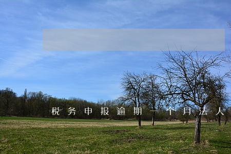 税务申报逾期一个月法人会上征信 税务申报逾期一个月法人会上征信
