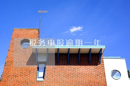 税务申报逾期一年 税务申报逾期一年