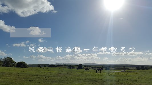 税务申报逾期一年罚款多少 税务申报逾期一年罚款多少