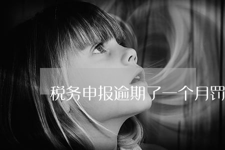 税务申报逾期了一个月罚款多少