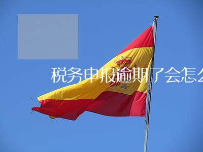 税务申报逾期了会怎么样 税务申报逾期了会怎么样