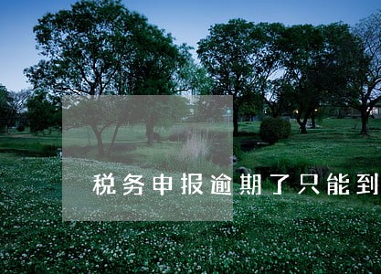 税务申报逾期了只能到大厅申报吗 税务申报逾期了只能到大厅申报吗