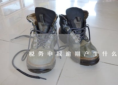税务申报逾期产生什么后果 税务申报逾期产生什么后果