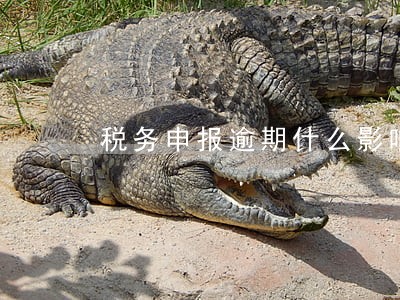税务申报逾期什么影响 税务申报逾期什么影响