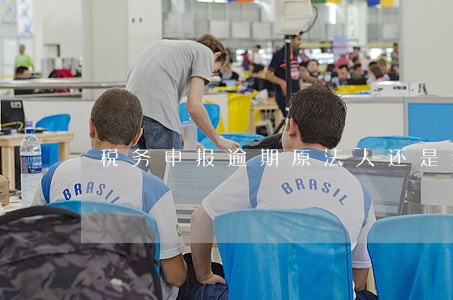 税务申报逾期原法人还是新法人 税务申报逾期原法人还是新法人