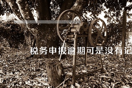 税务申报逾期可是没有记录 税务申报逾期可是没有记录