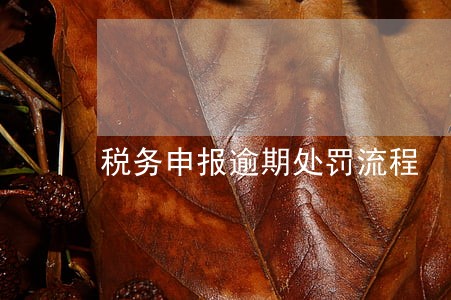 税务申报逾期处罚流程 税务申报逾期处罚流程