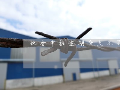 税务申报逾期多久不罚款 税务申报逾期多久不罚款