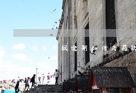 税务申报逾期如何交罚款