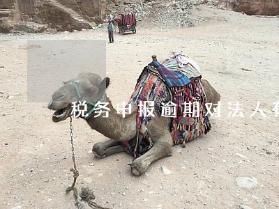 税务申报逾期对法人有什么影响吗 税务申报逾期对法人有什么影响吗