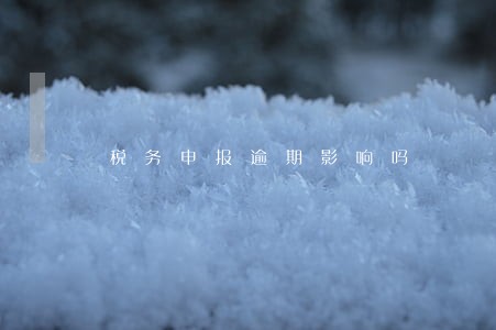 税务申报逾期影响吗 税务申报逾期影响吗