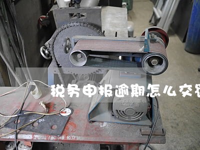 税务申报逾期怎么交罚款 税务申报逾期怎么交罚款