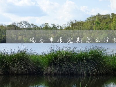 税务申报逾期怎么注销