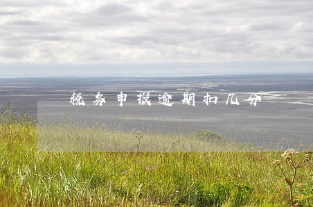 税务申报逾期扣几分 税务申报逾期扣几分