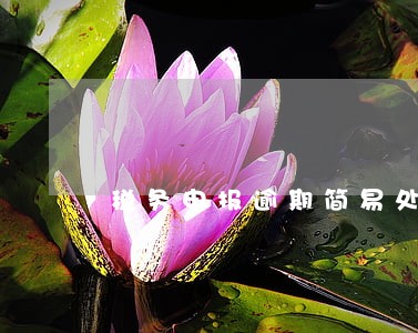 税务申报逾期简易处罚
