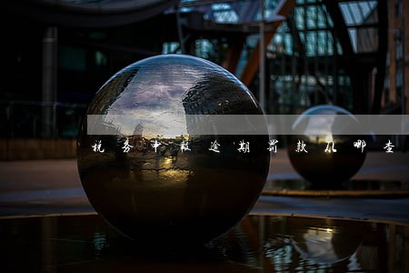 税务申报逾期罚款从哪查询 税务申报逾期罚款从哪查询