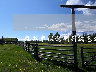 税务申报逾期罚款怎么交 税务申报逾期罚款怎么交