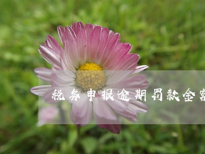 税务申报逾期罚款金额