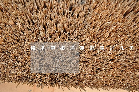税务申报逾期能超过几天 税务申报逾期能超过几天