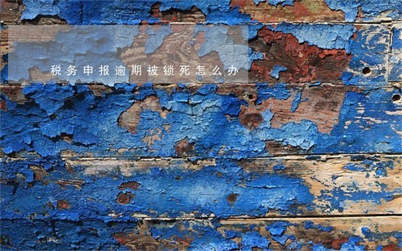 税务申报逾期被锁死怎么办