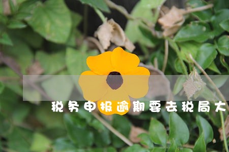 税务申报逾期要去税局大厅处理么 税务申报逾期要去税局大厅处理么