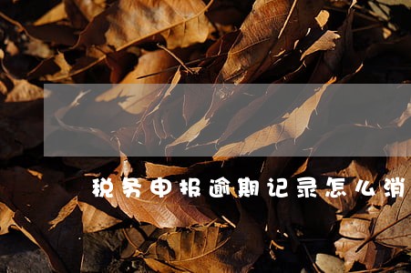 税务申报逾期记录怎么消除 税务申报逾期记录怎么消除