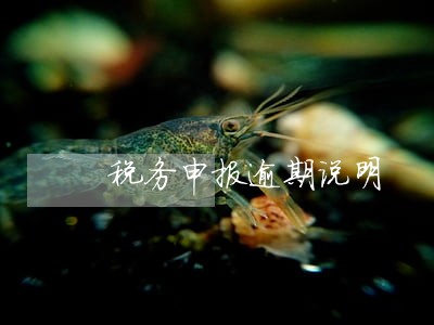税务申报逾期说明 税务申报逾期说明