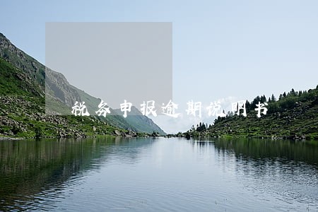 税务申报逾期说明书 税务申报逾期说明书