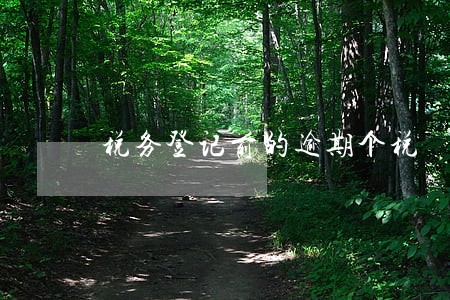 税务登记前的逾期个税 税务登记前的逾期个税