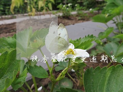 税务登记变更逾期怎么办 税务登记变更逾期怎么办