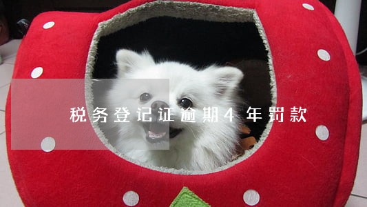 税务登记证逾期4年罚款 税务登记证逾期4年罚款