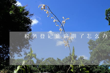 税务登记证逾期了怎么办 税务登记证逾期了怎么办