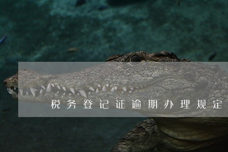 税务登记证逾期办理规定 税务登记证逾期办理规定