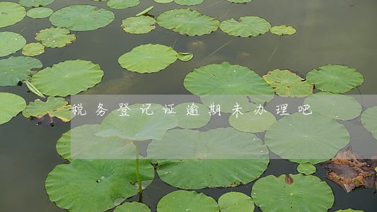 税务登记证逾期未办理吧 税务登记证逾期未办理吧