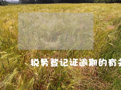 税务登记证逾期的有关情况说明 税务登记证逾期的有关情况说明