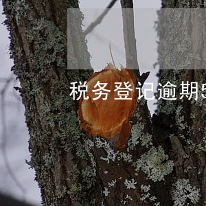 税务登记逾期5天被罚款 税务登记逾期5天被罚款