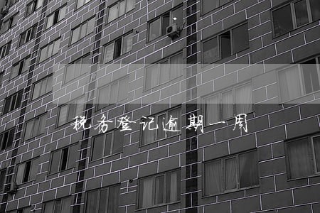 税务登记逾期一周 税务登记逾期一周